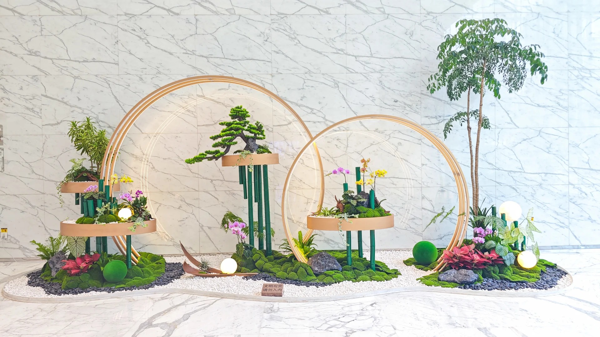 余姚绿植租摆专业之选,打造独特办公绿色空间><div class=